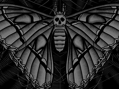 Moth Study illustration moth skull stippling