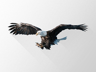 Magnus Aquila animal animals design eagle illustrator low poly lowpoly