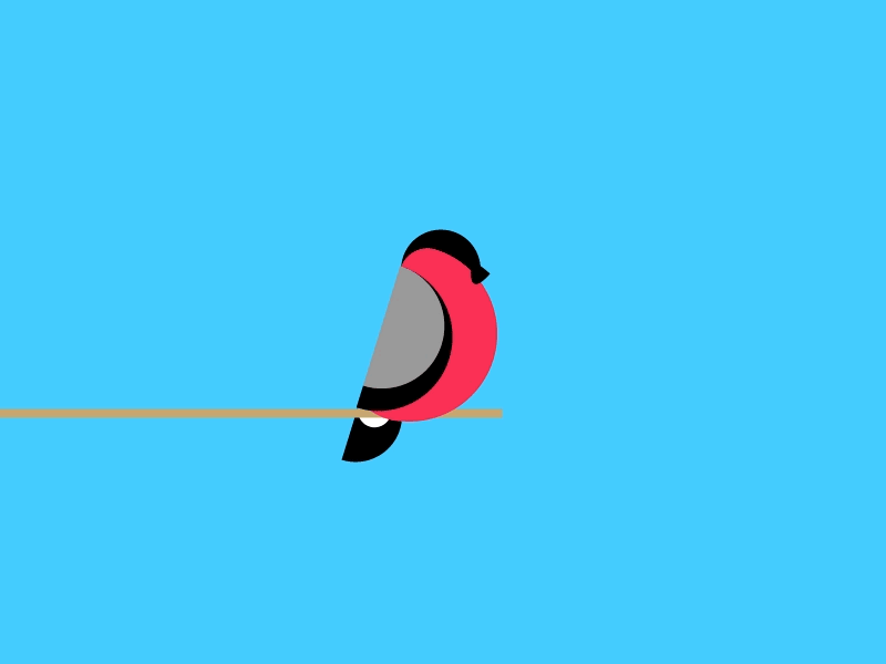 Bullfinch animation bird flat colour gif loop looping vector