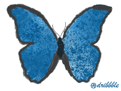 butterfly butterfly design dislikesdesigner icon illustration vector