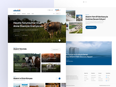 Abalım Yem UI&UX Design design ui ui design uiux uiuxdesign ux ux design web