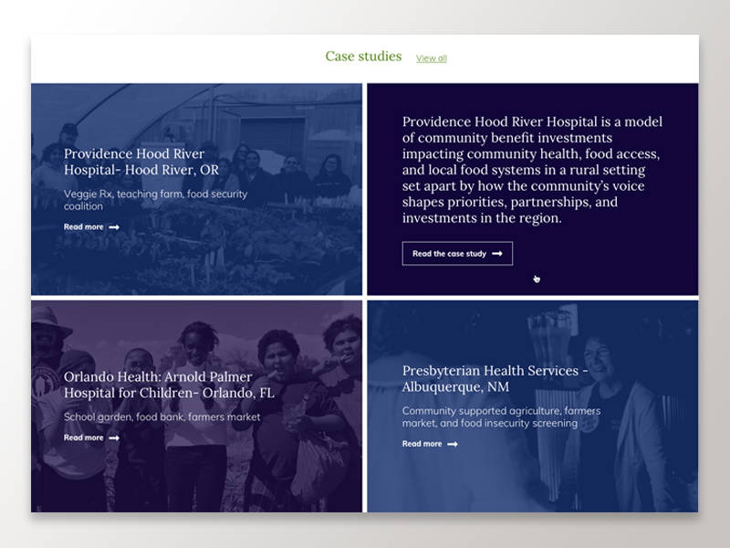 Case Studies Preview Gallery interaction site preview ui web
