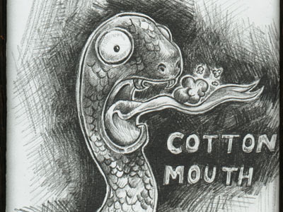 cotton mouth lettering pencil snake