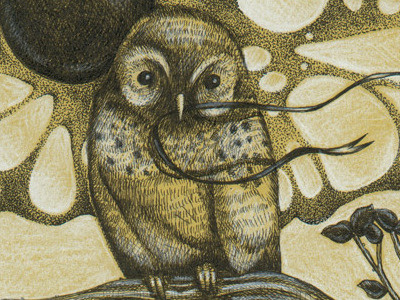 Ghostly illustration ink owl pen stippling