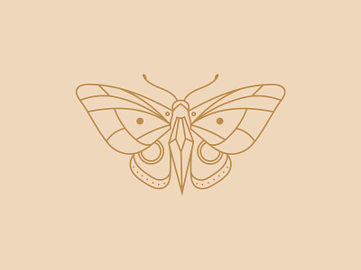 Crystal butterfly branding butterfly crystal design flat icon illustration line lineart logo mark vector