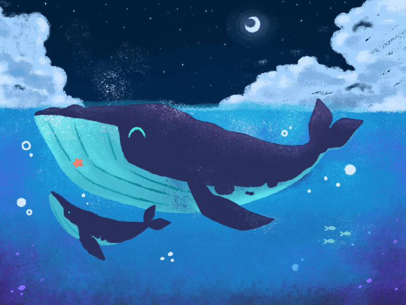 An Evening Swim 2d ae after effects bubbles character design characters clouds fish frame by frame friendship illustration moon motion design motion graphics night ocean stars texture water whales