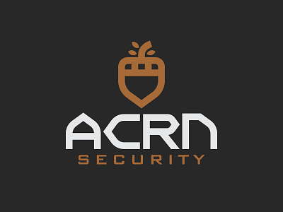ACRN Security acorn badge brand brown icon illustration logo logotype minimal nature outdoors retro security thick lines typography vector