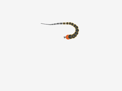 (Animated) Snake animation code follow java mouse processing snake worm