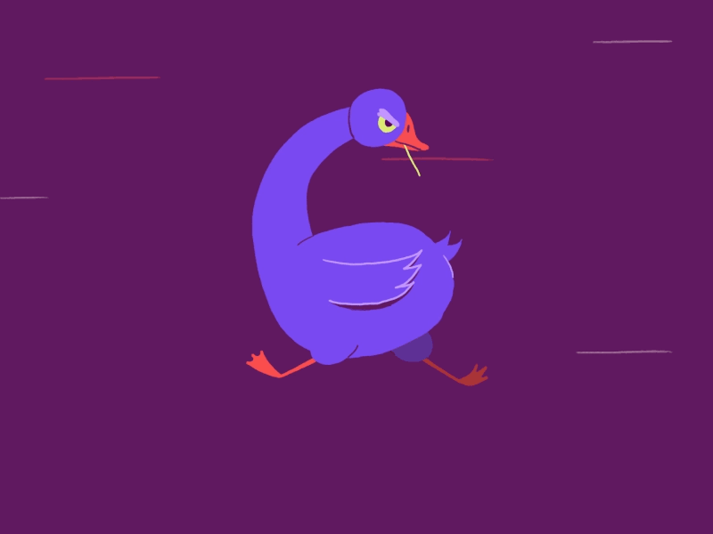 Day 7 / "G" for Goose 36days adobe 36days g 36daysoftype 36daysoftype06 goose motion runcycle typography typograpyhanimation