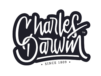 Charles Darwin brand calligraphy lettering letters type typography