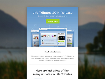 Life Tribute Release Newsletter clean client email newsletter product release simple ui ux