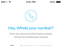 Dribbble - Input-number.jpg by Paresh Khatri