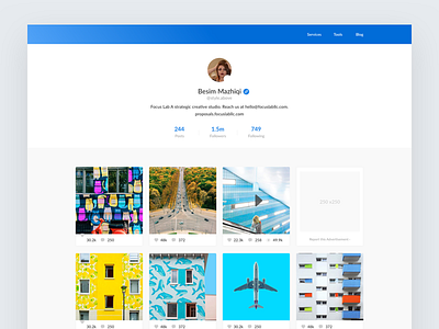 Insta Profile clean design flat homepage icons instagram website