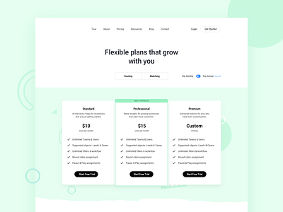 Flexible Plans frontend plans pricing pricing page table webdesign website