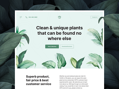 Unique Plant Supplier Website hero banner hero image landingpage simple webdesign website