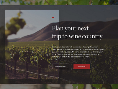 Wine not? ui web design website wine