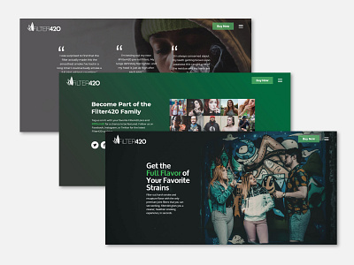 Slider Web Design for Cannabis Filter Company branding cannabis design graphic design photo editing photo manipulation responsive slider revolution ui uiux ux web design web design agency web designer website concept website design