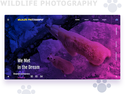 Wildlife Photography adventure animated creative design desktop gradiant identity illustration landing page photogarphy ui ux wild animals