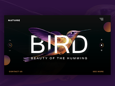 Nature Web 3d animation bird branding design design desktop identity illustration landing page nature typography ui ux website
