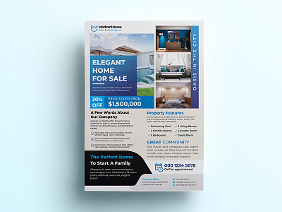 Real Estate Flyer Template