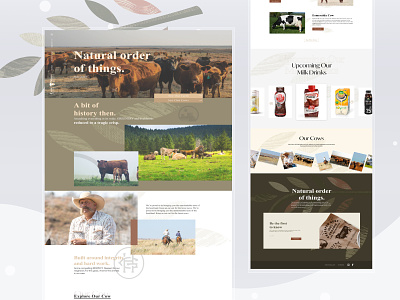 Cow Farm Landing Page cow . cow farm cow farm landing page farm landing page landing page website