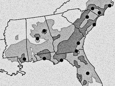 Save the Pines illustration illustrator infographic map