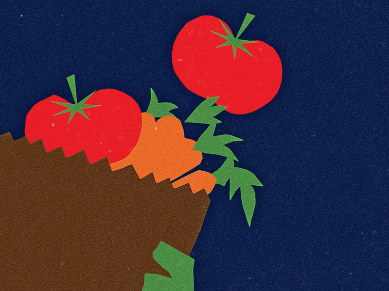 Market papercut cut paper garden vegetable grocery market poster photoshop illustration