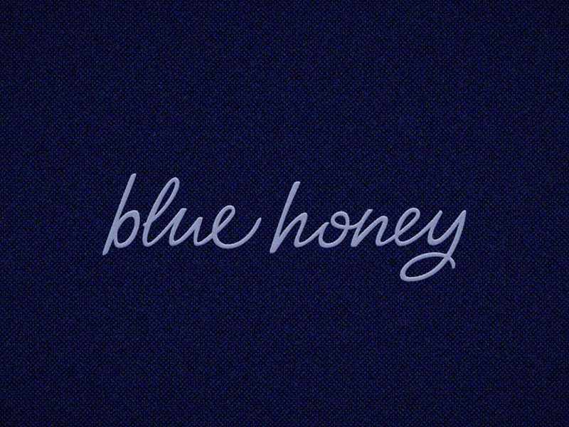 Rejected Honey honey wordmark illustrator script lettering logo