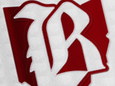 Barons barons cleveland concept hockey logo nhl sports