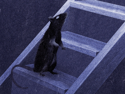 Rats photoshop mouse basement rodent rat poster illustration