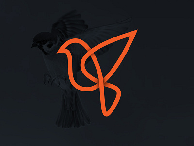 Bird Logo bird brand color creative logo one line simple