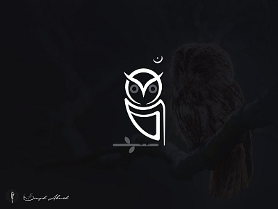 Pecha (owl) bangla calligraphy clean concept conceptual lettering logo owl pecha typography word logo wordmark