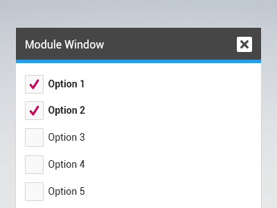 Module Window