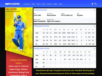 Player profile page branding ui