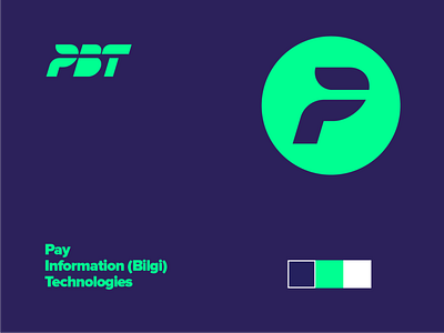 PAY Information Technologies Logo & Color Iterations