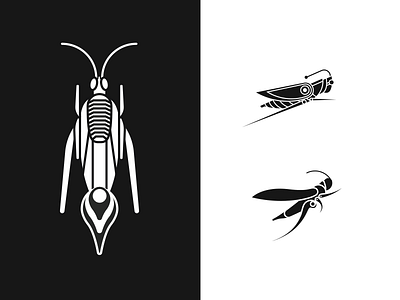 Cricket Symbol Iterations animal bug cricket insect locust logo monogram simple symbol