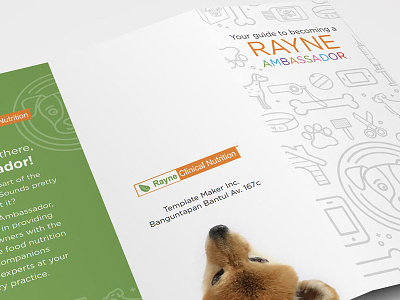 Rayne Clinical Nutrition Brochure brochure graphicdesign petfood veterinarian