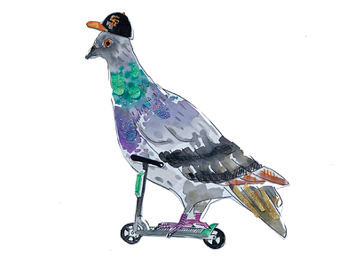 San Francisco Resident (pigeon) bird collage illustration mixed media pigeon san francisco scooter sf water color water colour
