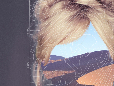 Detail of an untitled artwork. blonde collage dessert map model portrait sahara surreal