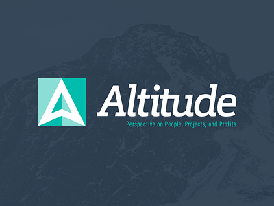 Altitude Branding agency altitude branding budget data estimates flight logo product profits project schedules