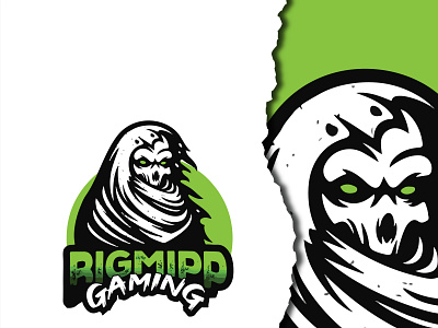 Design Concept For "Rigmipp Gaming"