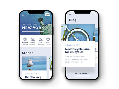 New York City information site design iphonex mobile new york ui ux