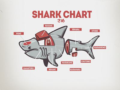 Shark Chart chart fish otoro sakami sea shark vector