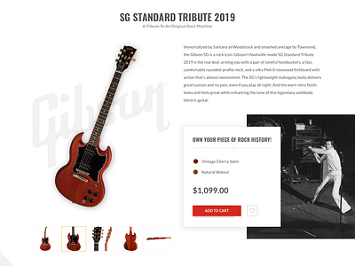 Mommy buy me a guitar! ecommerce guitar inchoo music product page typography ui web design