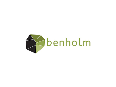 Benholm branding illustration identity logo logo design