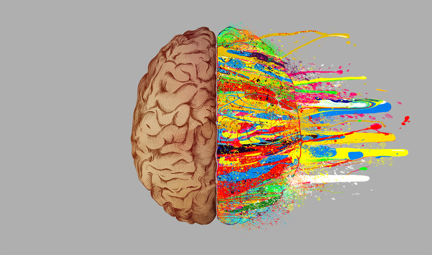 Color brain. Полушария мозга. Два полушария мозга. Правое полушарие мозга. Полушария головного мозга человека.