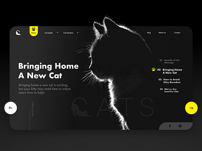 Cat Care Articles Web Design article black black cat cat cats homepage landing ui web webdesign website