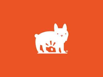 Photostudio logotype camera dog foxhide french bulldog logo shot