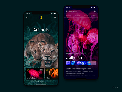 National Geographic / Mobile Concept