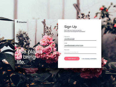 UI signup page #DailyUI design daily challenge ui design